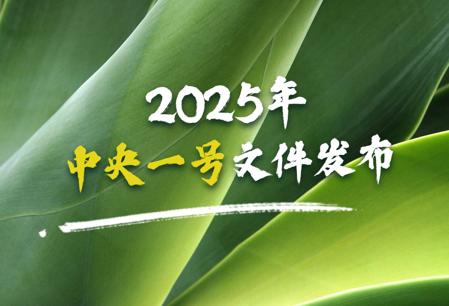 中共中央 国务院关于进一步深化农村改革 推进乡村全面振兴的意见